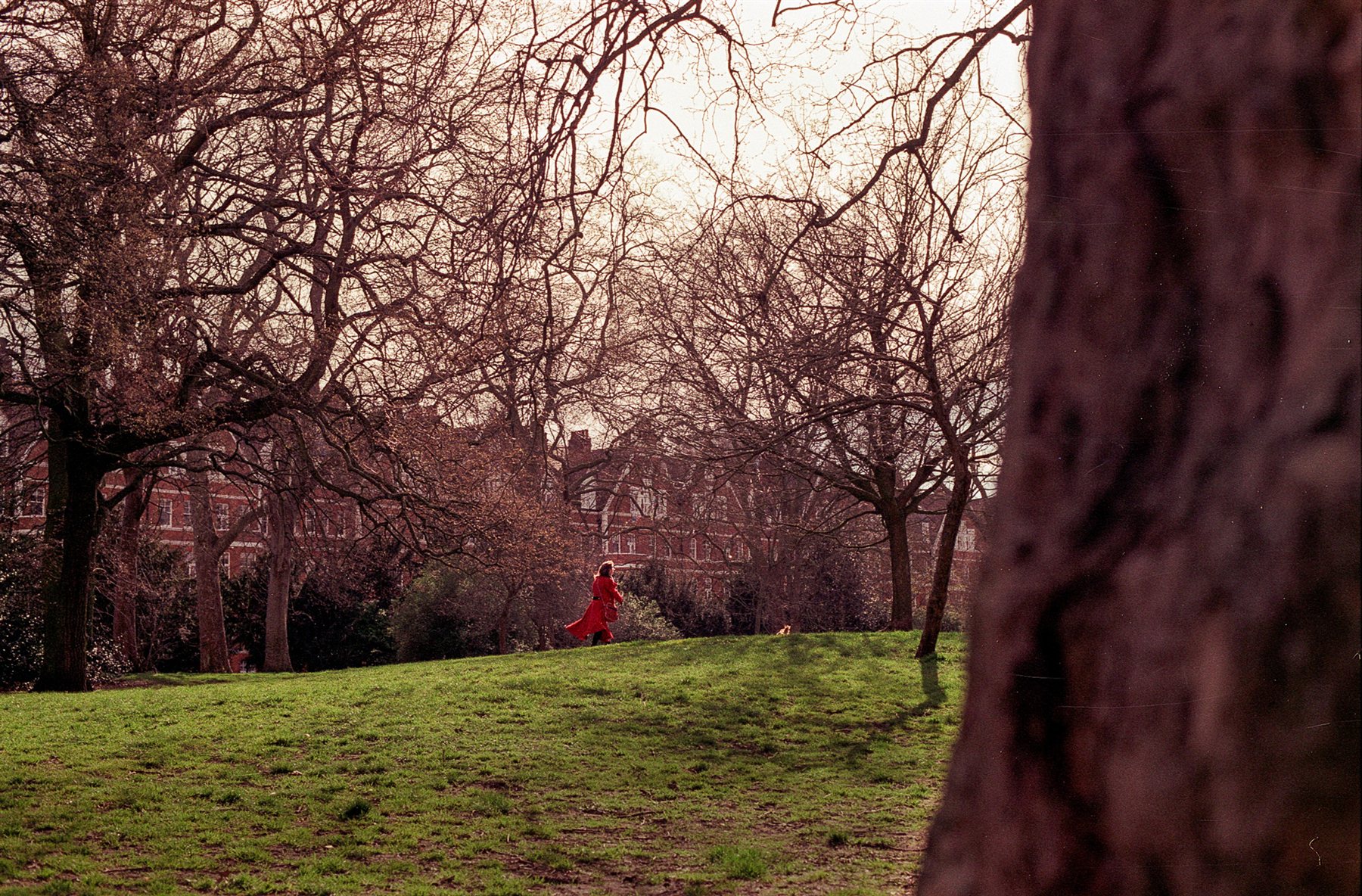 A woman in a red coat walking across a London park
