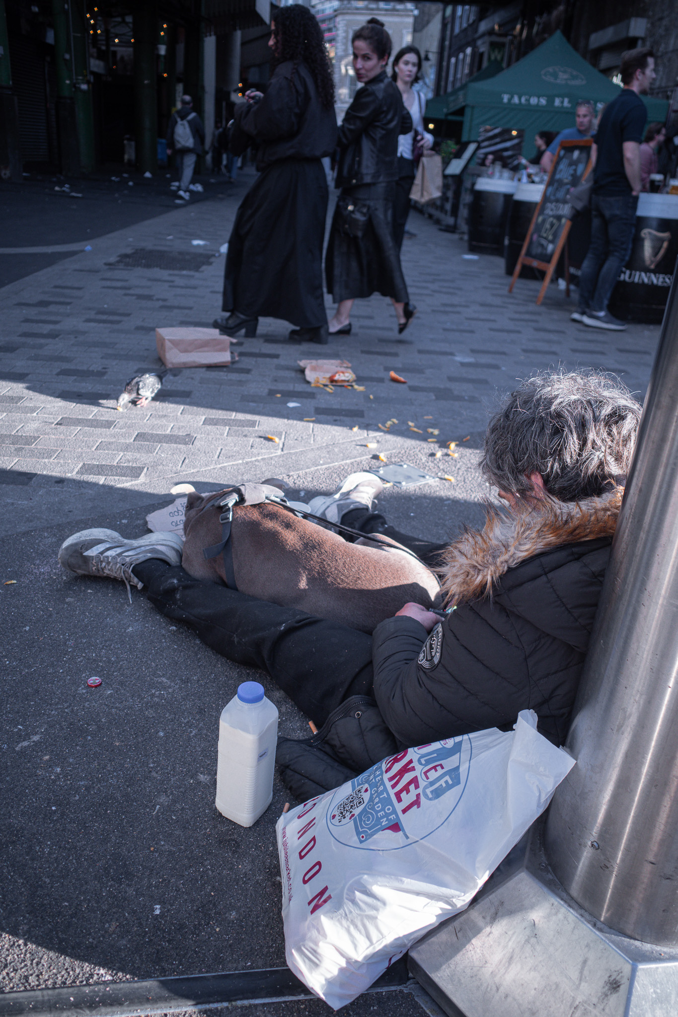 Food scraps on a pavement, a pigeon, and a woman with a dog sitting against a post